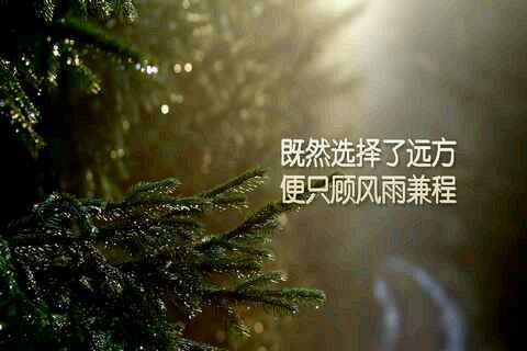 云南函授學(xué)費(fèi)