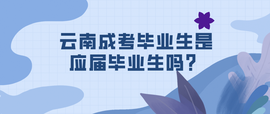云南成考畢業生是應屆畢業生嗎？